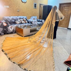 Golden tail duppata with all over lase & qabool hai